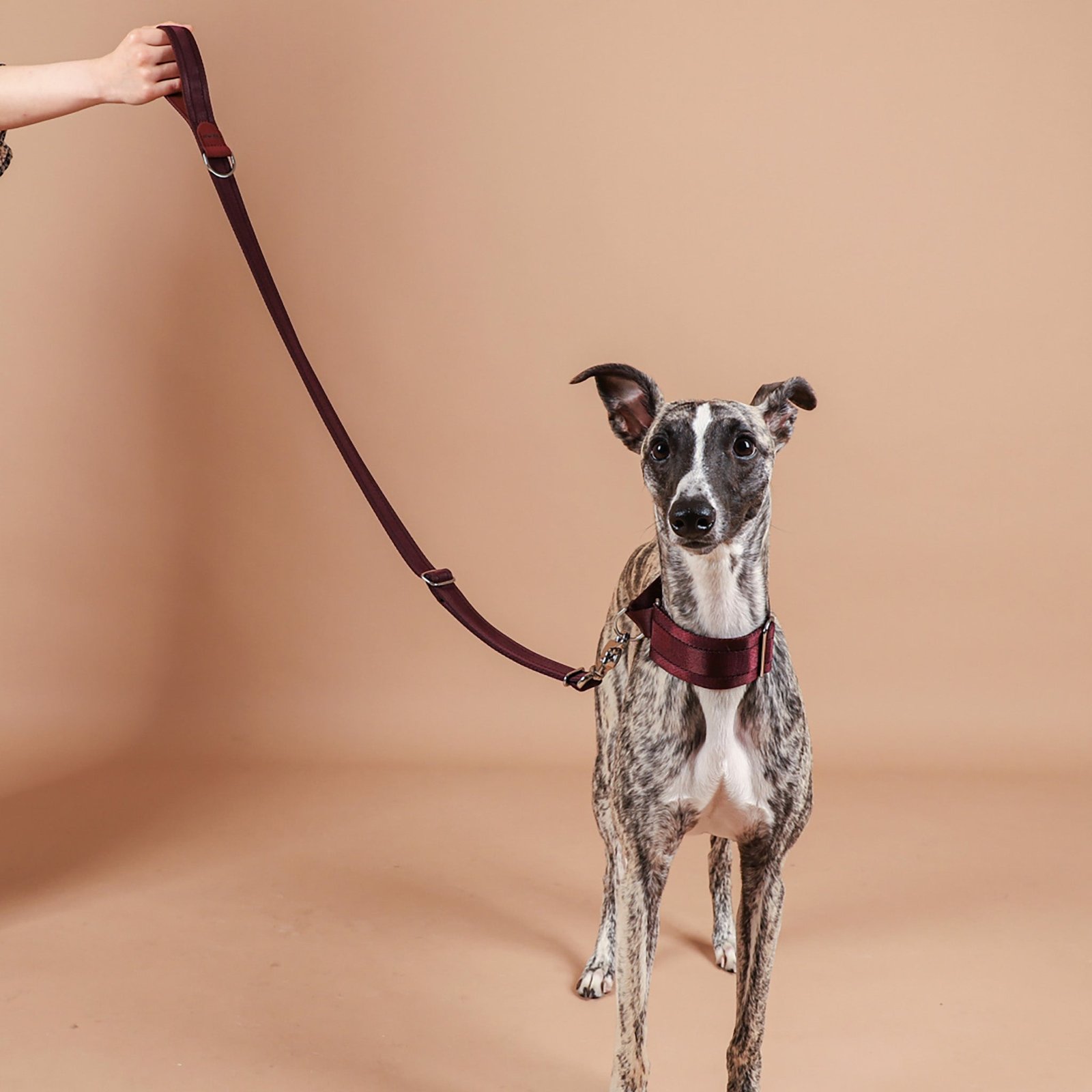Burgundy Adjustable Short Dog Leash – Durable Nylon, Auto-Locking Clip, Soft Handle - Image 7