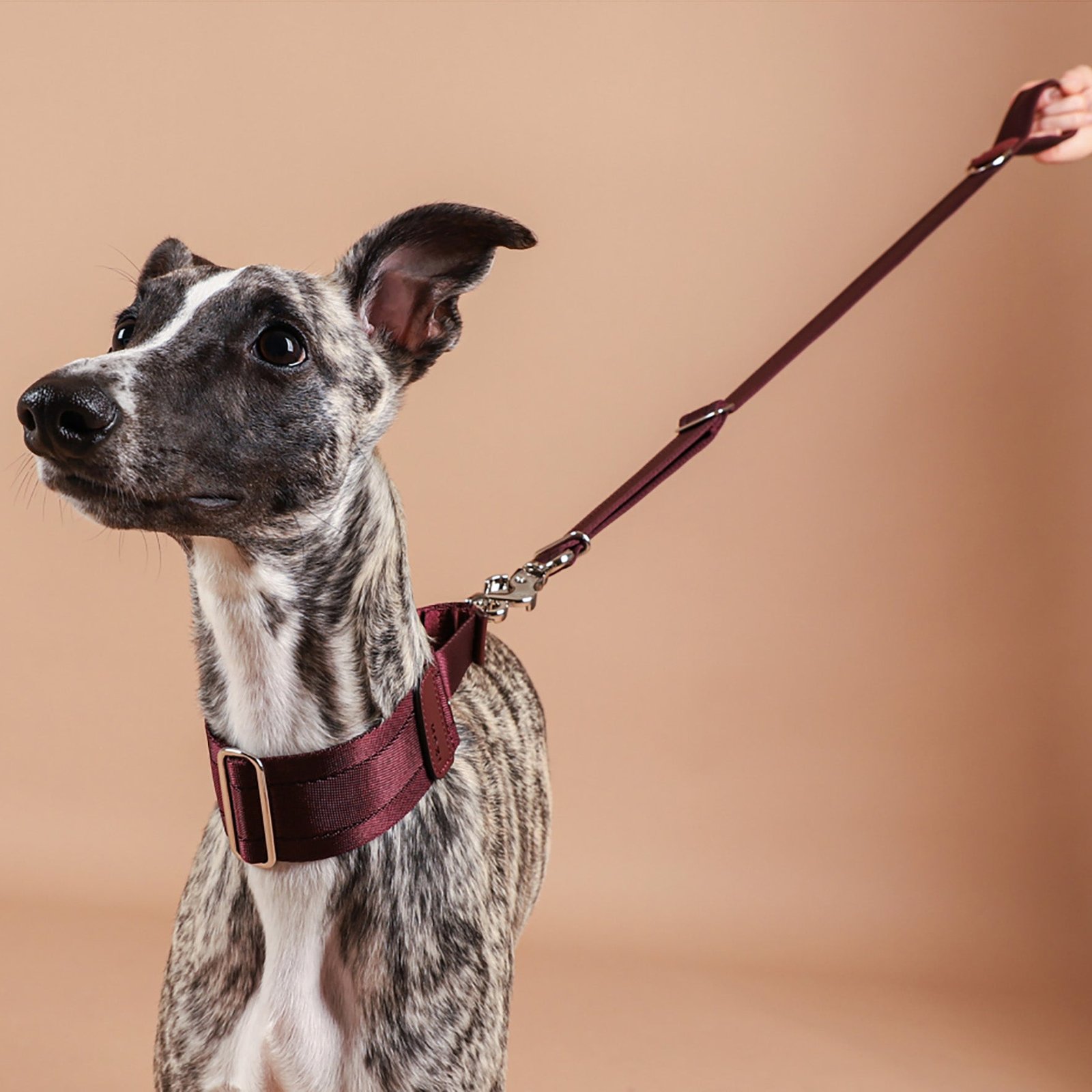 Burgundy Adjustable Short Dog Leash – Durable Nylon, Auto-Locking Clip, Soft Handle - Image 2