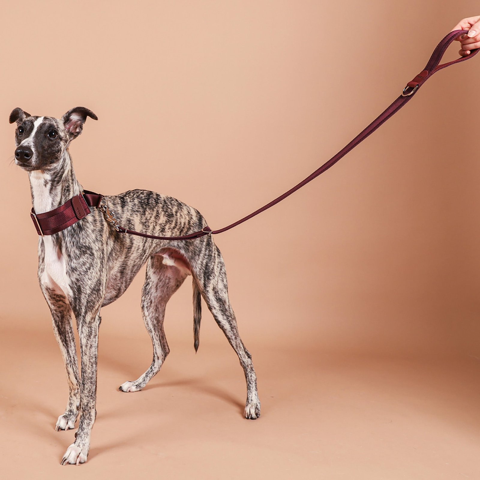 Burgundy Adjustable Short Dog Leash – Durable Nylon, Auto-Locking Clip, Soft Handle - Image 4