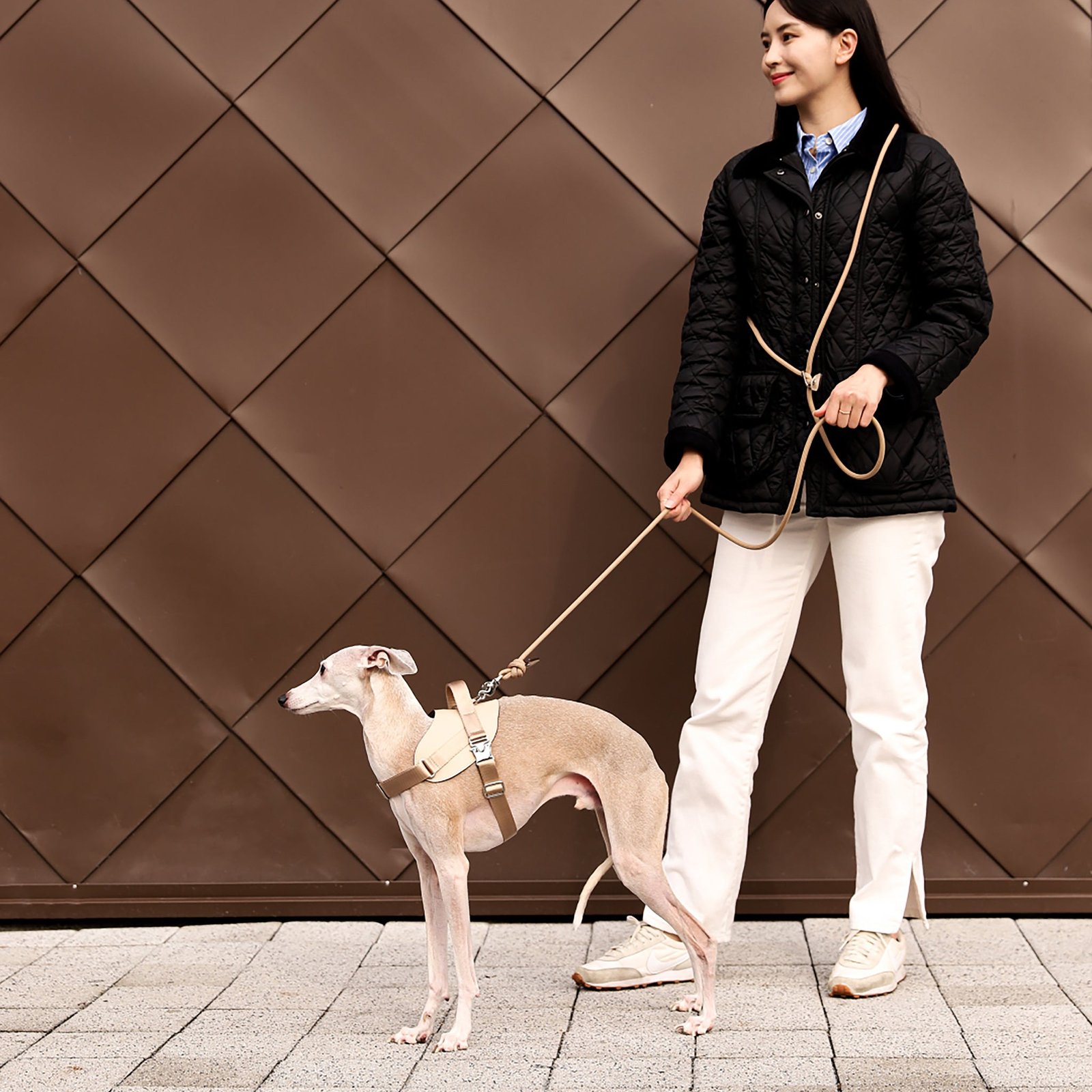 Saddle Harness Beige – Premium Adjustable Saddle Harness for Dogs | Glawn™ - Image 7