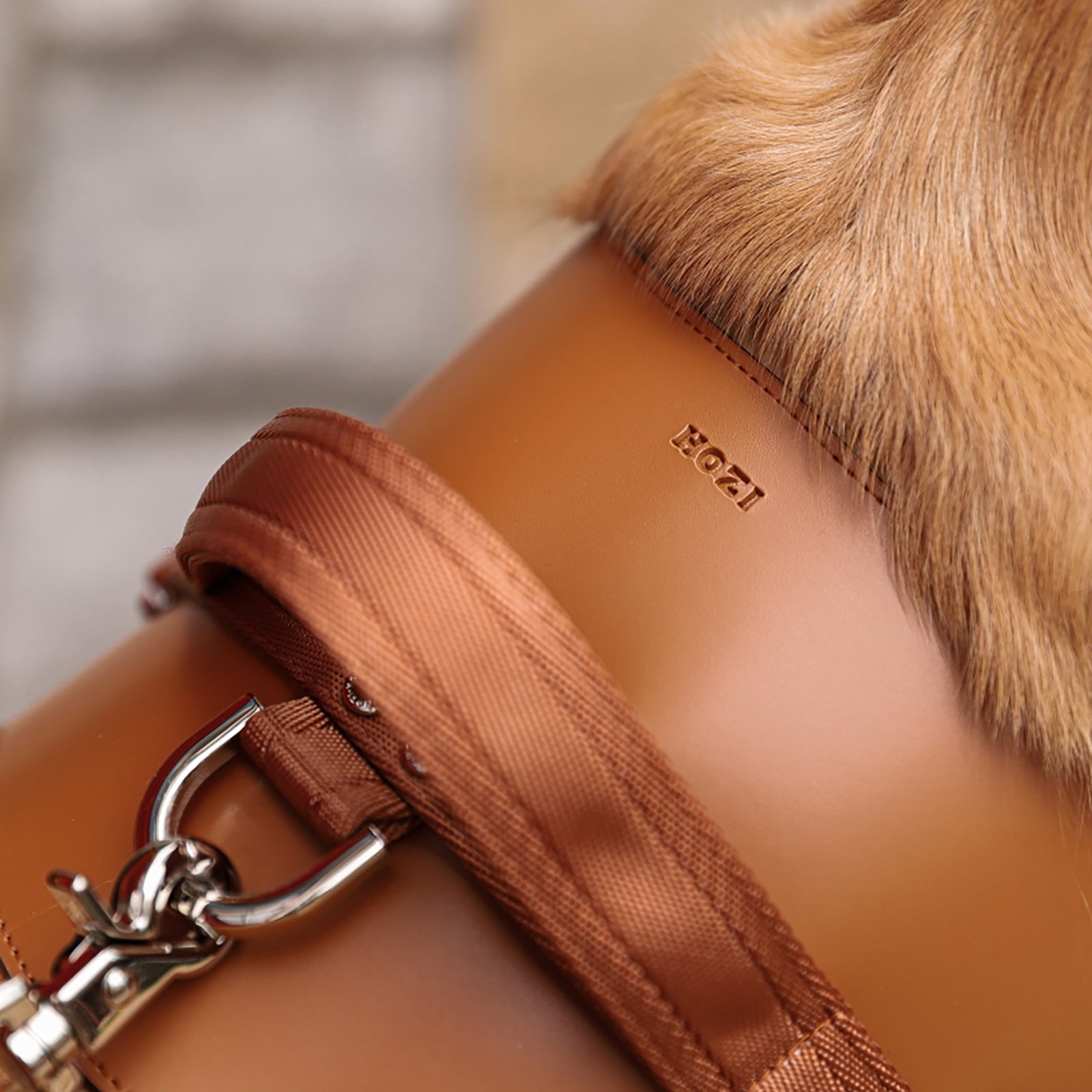 Saddle Harness Camel – Premium Adjustable Saddle Harness for Dogs | Glawn™ - Image 21