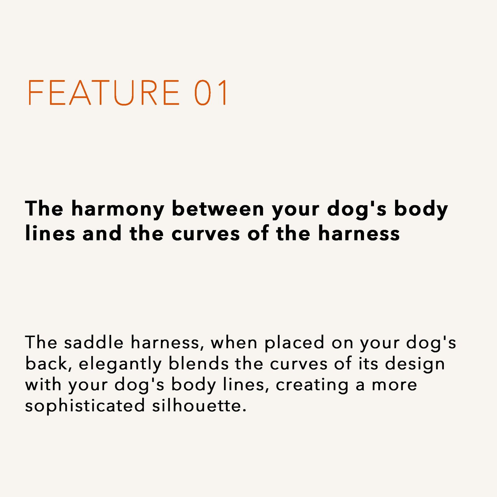 Saddle Harness Camel – Premium Adjustable Saddle Harness for Dogs | Glawn™ - Image 11